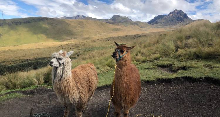 Visite de la vieille ville de Quito avec promenade en gondole et visite de l'Équateur - Lead Adventures  3