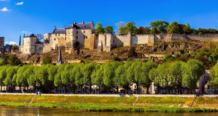 Castle with river and row of trees.