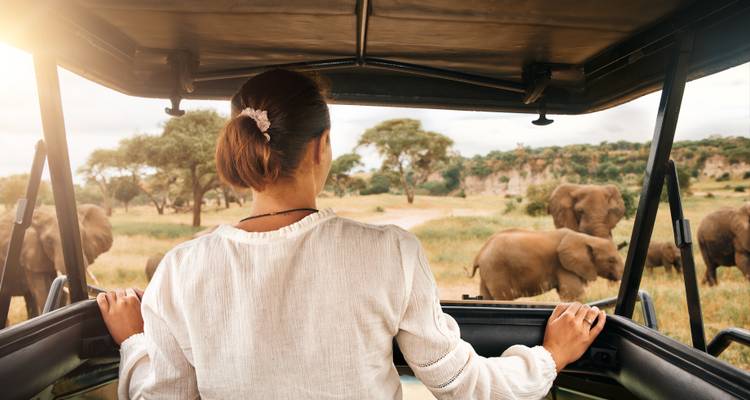 9 jours de safari budget en pleine nature comprenant 2 nuits à Serengeti et 3 jours à Zanzibar. - African Polecat Safaris 9