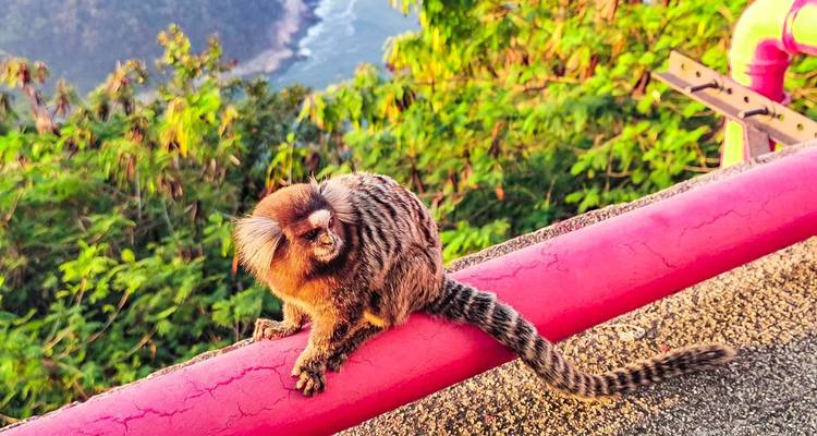 Tailor-Made Private Brazil Tour to Rio, Ilha Grande & Paraty, Daily Start - Agate Travel 3