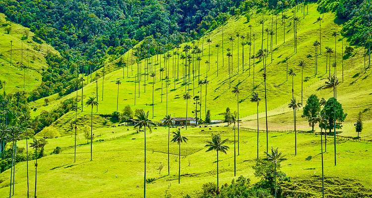 Tailor-Made Classic Colombia Vacation with Daily Departure and Private Guide - Agate Travel 9