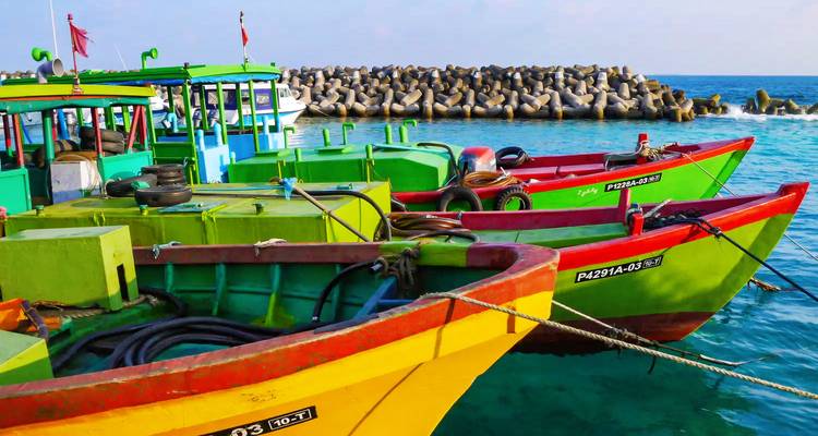 Kleurrijke vissersboten afgemeerd in een haven.