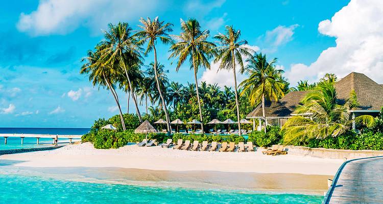 Luxusresort auf einer tropischen Insel mit Palmen.