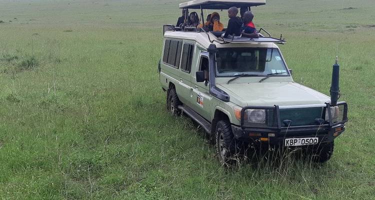 Safari-Fahrzeug mit Teilnehmern auf einer grünen Wiese.