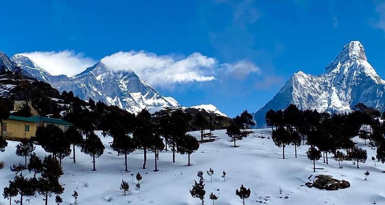 Montagnes enneigées avec un ciel bleu dégagé, une cabane et des arbres au premier plan.