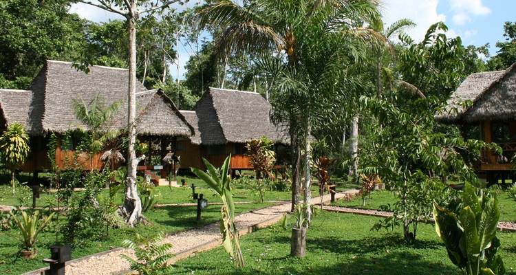 Camino del jardín que lleva a varios bungalós con techo de paja rodeados de exuberante verdor de la selva tropical.