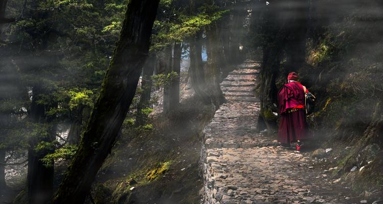Trek avec vue sur l'Everest - Peregrine Treks and Expedition Pvt Ltd 8
