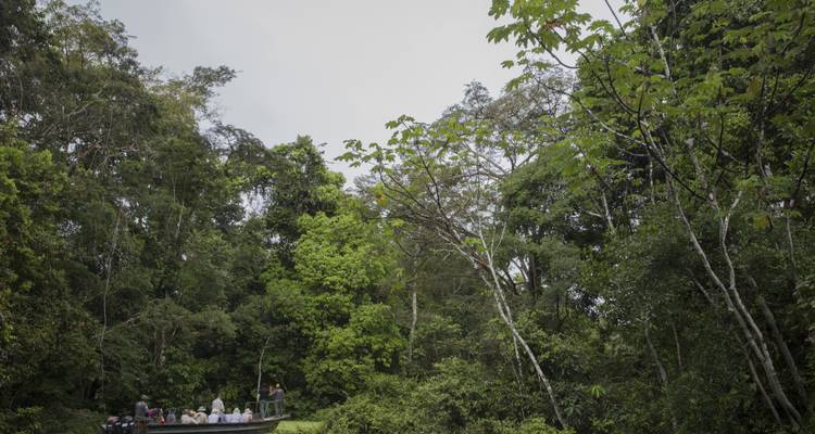 G Lodge Amazon & Camping - 4 Day Independent Adventure - G Adventures 3
