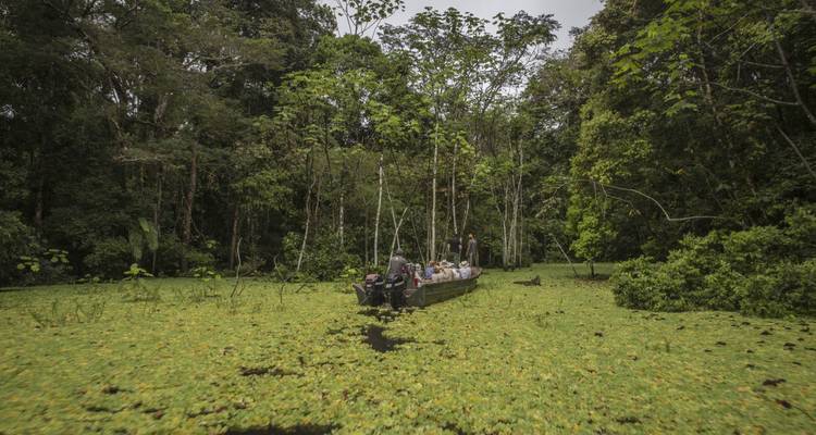 G Lodge Amazon & Camping - 4 Day Independent Adventure - G Adventures 2