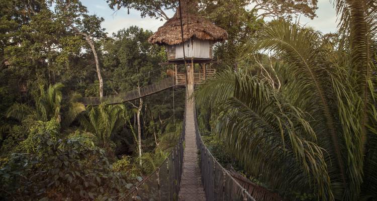 G Lodge Amazonas - aventura independiente de 5 días - G Adventures 2