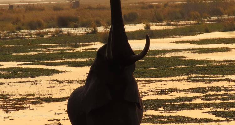 Victoria Falls & Hwange, 6 Days Safari Experience - Little Roz Tours 9