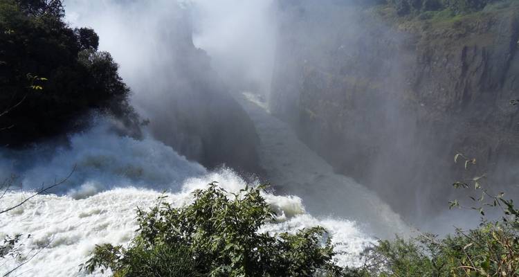 Ultimate Victoria Falls, Chobe national park et Hwange - 8 jours - Little Roz Tours 8