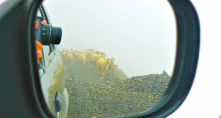 Voyage hors route à Tusheti - Exotour Georgia 9