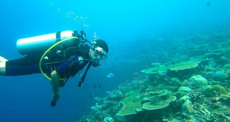 Tailor-Made Maldives Holiday at Thoddoo, Daily Departure & Private Guide - Agate Travel 1