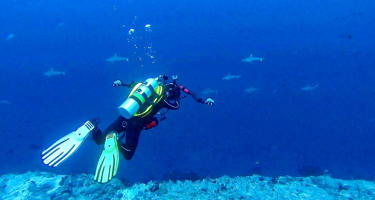 Vacances sur mesure aux Maldives à Thoddoo, départ quotidien et guide privé - Agate Travel 2