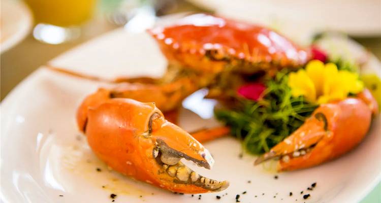 Gros plan d'un crabe cuit servi dans une assiette avec garniture.