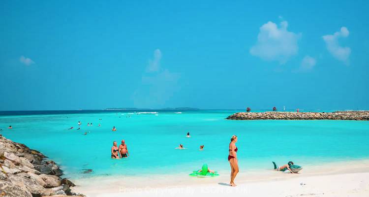 Des gens profitant d'une journée à une plage tropicale.
