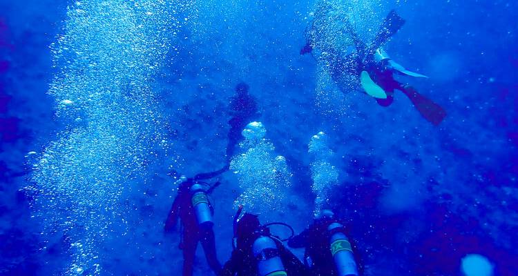 Plongeurs sous l'eau entourés de bulles.