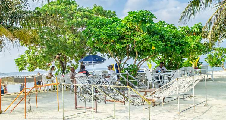 Outdoor seating area shaded by trees along a sandy beach.