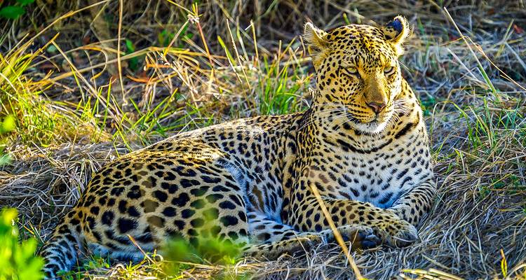 Tailor-Made Private Zimbabwe Victoria Falls Adventure, Daily Departure - Agate Travel 2