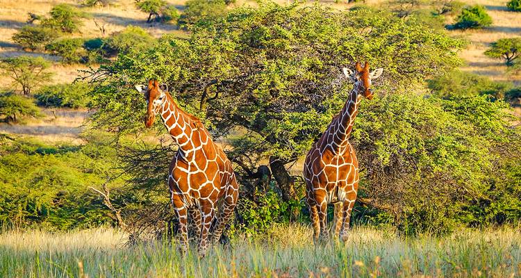Tailor-Made Private Zimbabwe Victoria Falls Adventure, Daily Departure - Agate Travel 4