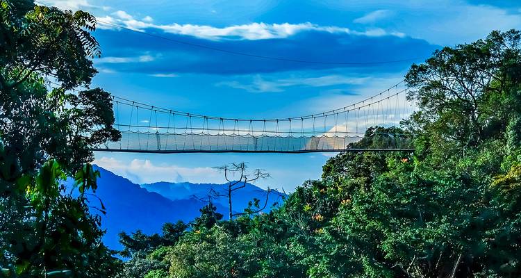 Circuit sur mesure au Rwanda, départ quotidien et voyage privé - Agate Travel 4