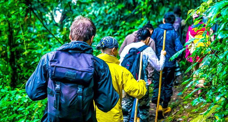 Circuit sur mesure au Rwanda, départ quotidien et voyage privé - Agate Travel 3
