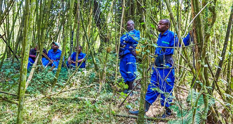 Circuit sur mesure au Rwanda, départ quotidien et voyage privé - Agate Travel 10