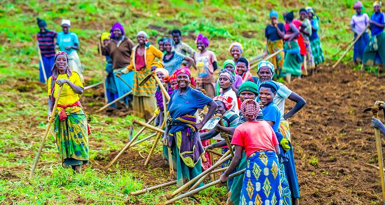 Circuito privado personalizado a Ruanda para ver gorilas con salida diaria - Agate Travel 1