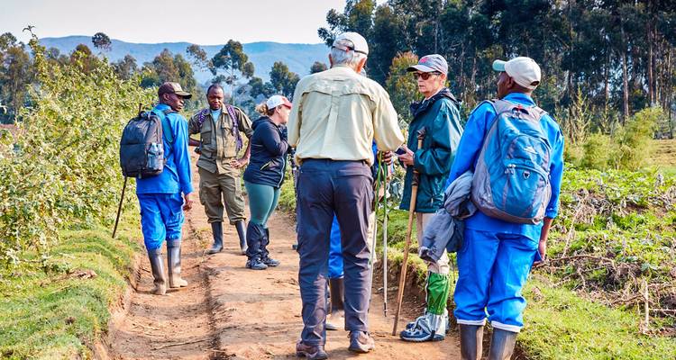 Circuito privado personalizado a Ruanda para ver gorilas con salida diaria - Agate Travel 2