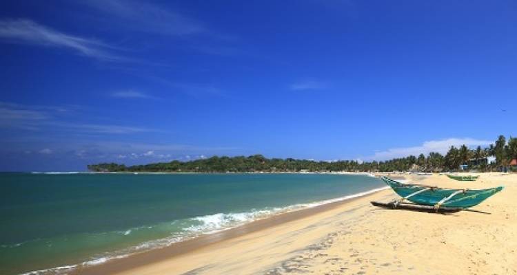 CIRCUIT PREMIUM EN PETIT GROUPE AU SRI LANKA - Tweet World Travel 8