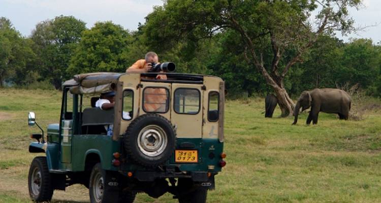 SRI LANKA SAFARI & WILDLIFE TOUR - Tweet World Travel 9
