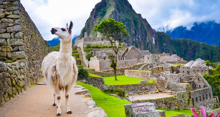 Peru: With flair - SKR Reisen 1