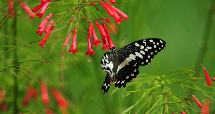 Vacances à Zanzibar - tous les hébergements et transports sont inclus - 4 jours - Spider Tours and Safaris 10