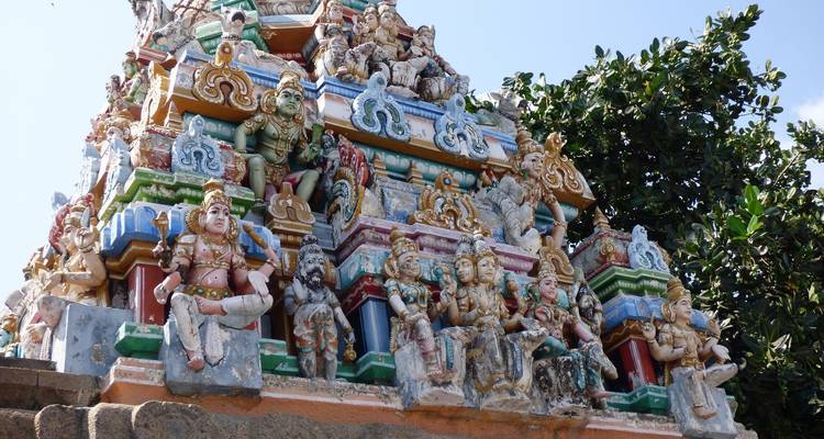 Maravilloso circuito por el sur de la India con Kerala - Real viaggi india  2