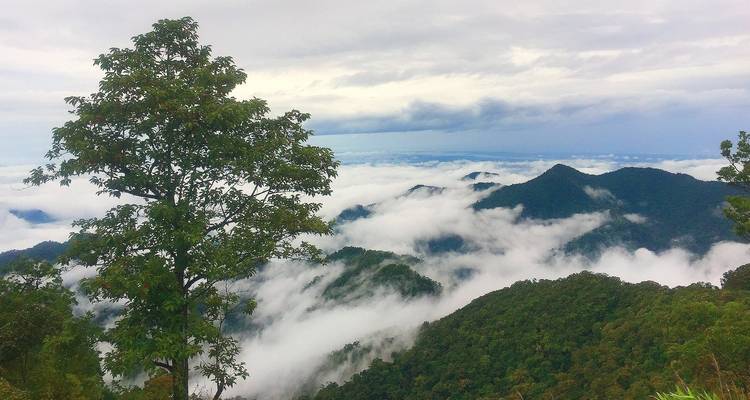Vietnam Jungle Escape in 15 Days - Cuc Phuong National Park/ Halong Bay / Mekong Delta - PrestiGo Asia 3