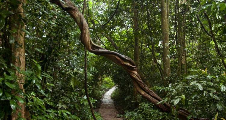 Vietnam Jungle Escape in 15 Days - Cuc Phuong National Park/ Halong Bay / Mekong Delta - PrestiGo Asia 8