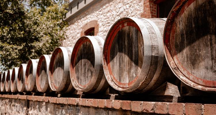 Los tesoros de Chipre - Olta Travel Cyprus 4