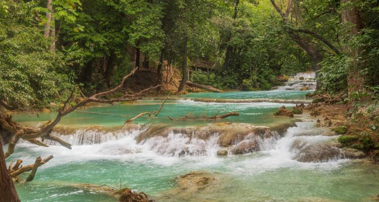 Palenque tour: Explore Wonderful Chiapas and Beauty Waterfalls - Vibe Adventures 2