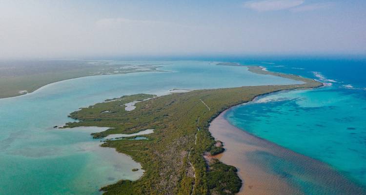Riviera Maya Cenote Tour: a Fantastic Adventure in Yucatan and Quintana Roo - Vibe Adventures 8