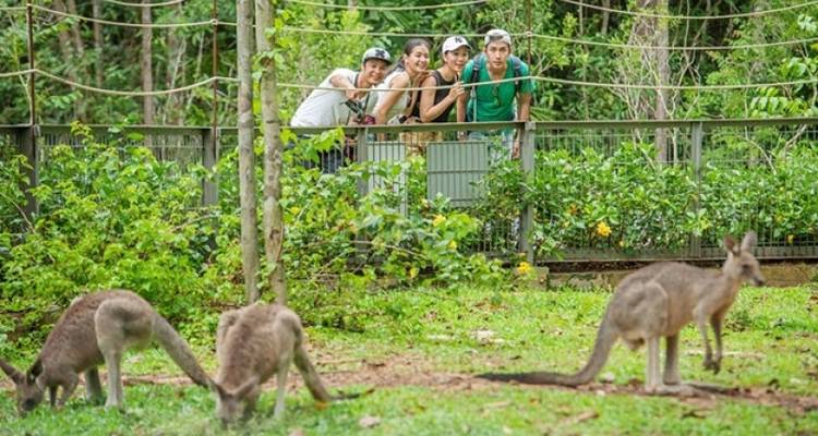 Forfait bien-être de luxe à Phu Quoc - Noël et nouvel an
 - Tweet World Travel 3