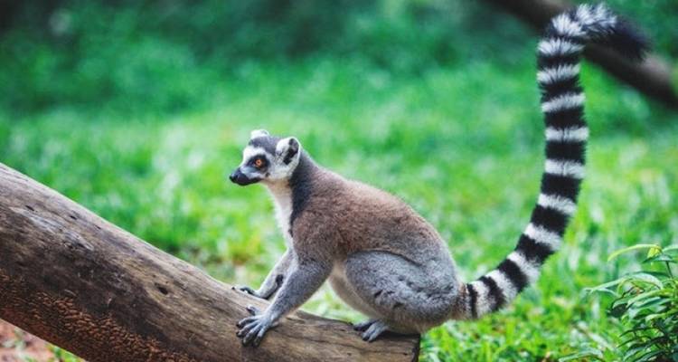 Forfait bien-être de luxe à Phu Quoc - Noël et nouvel an
 - Tweet World Travel 4