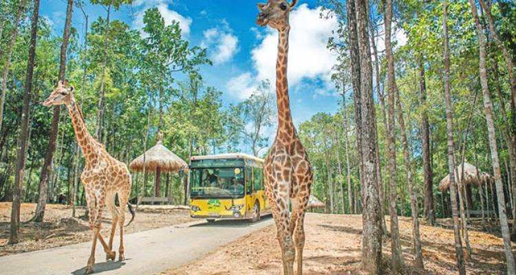 Forfait bien-être de luxe à Phu Quoc - Noël et nouvel an
 - Tweet World Travel 10