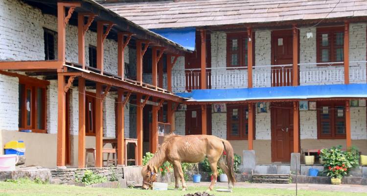 Trek court du camp de base de l'Annapurna - 7 jours - Peregrine Treks and Expedition Pvt Ltd 10