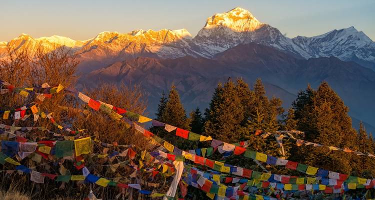 Trek de Poon Hill depuis Pokhara - Peregrine Treks and Expedition Pvt Ltd 8
