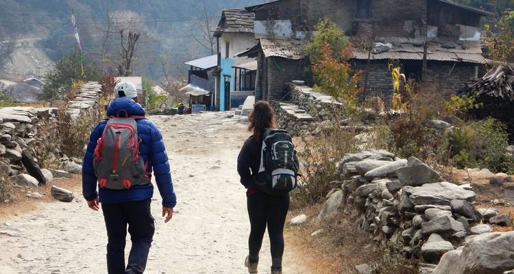 Trek de Poon Hill depuis Pokhara - Peregrine Treks and Expedition Pvt Ltd 10