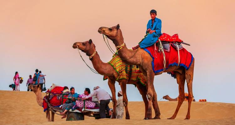 An Exclusive Private Luxury Tour to Rajasthan's Udaipur and Jodhpur (From Jaipur) - Adreva Trotter Pvt Ltd 1