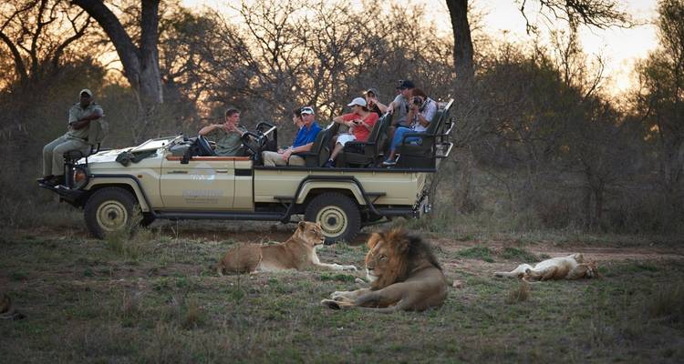 Ciudad del Cabo, Kruger y Cataratas Victoria ( Alojamiento de lujo ) - Little Roz Tours 10