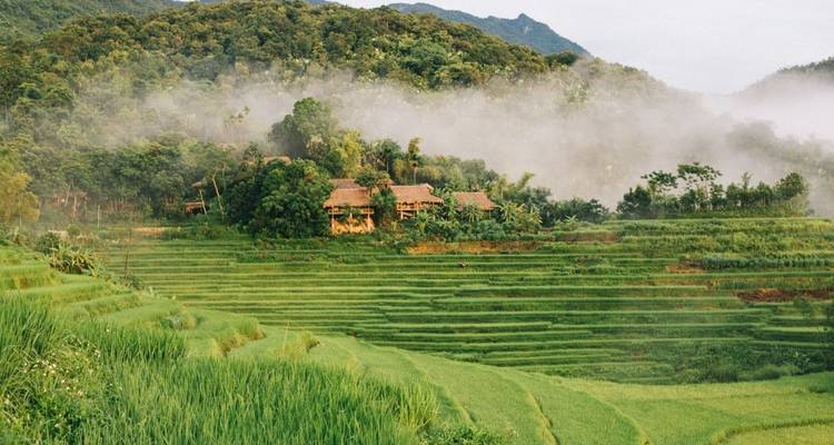 Circuit de luxe - Vietnam Eco Experience 13 jours - Delta du Mékong / Pu Luong / Baie d'Halong - PrestiGo Asia 6