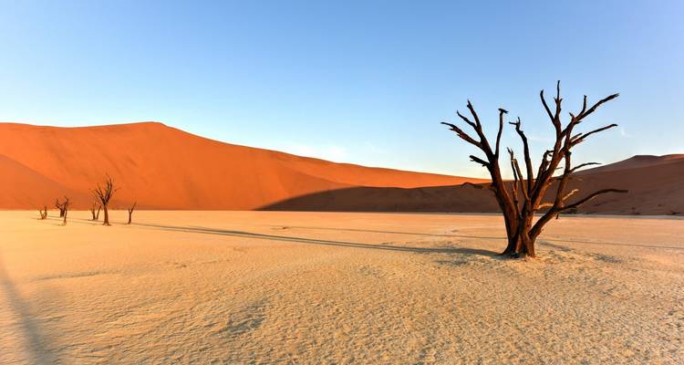 Lo mejor de Namibia en 7 días desde Windhoek - Little Roz Tours 3